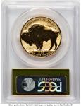 2013-W Gold Buffalo Reverse Proof 1 oz Coin