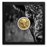 2025 Mongolia 1/10 oz Gold Buffalo Coin