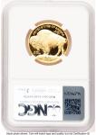 2008-W Proof Gold Buffalo 1/2 oz Coin