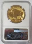 2013 Gold $50 American Buffalo Coin PF 69