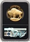 2023-W Gold Buffalo 1 oz Proof Coin