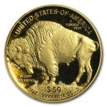 2015-W 1 oz Gold Buffalo Proof Coin PR-70