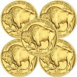 2025 1 oz American Buffalo Gold Coin - Lot of 5