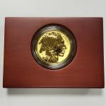 2013 Gold American Buffalo Proof Coin 1 oz
