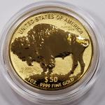 2013 Gold American Buffalo Proof Coin 1 oz