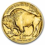 2026 1 oz Gold Buffalo Coin Tube (20 Coins)