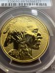 2013-W 1 oz Gold Buffalo Reverse Proof Coin