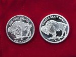 Buffalo Indian 2 Oz Silver Bullion Coin