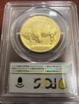 2013-W 1 oz Gold Buffalo Reverse Proof Coin