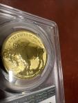 2013-W 1 oz Gold Buffalo Reverse Proof Coin