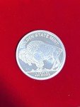 Buffalo Indian 2 Oz Silver Bullion Coin