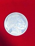 Buffalo Indian 2 Oz Silver Bullion Coin