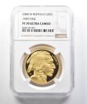 2008-W $50 American Gold Buffalo 1 Oz Coin