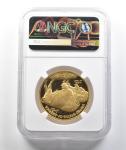 2008-W $50 American Gold Buffalo 1 Oz Coin
