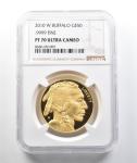 2010-W $50 American Gold Buffalo 1 Oz Coin