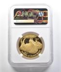 2010-W $50 American Gold Buffalo 1 Oz Coin
