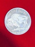 Buffalo Indian 2 Oz Silver Bullion Coin