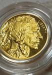 2008 W 1/10oz Gold Buffalo $5 Proof Coin