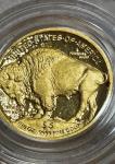 2008 W 1/10oz Gold Buffalo $5 Proof Coin