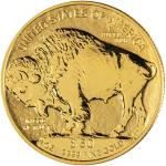 2013-W 1 oz Reverse Proof American Buffalo Coin