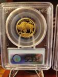 2008 W Gold American Buffalo Proof Coin Set