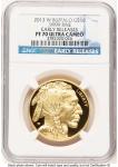 2013-W Proof Gold Buffalo 1 oz NGC PF70