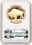 2013-W Proof Gold Buffalo 1 oz NGC PF70