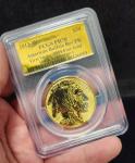 2013-W 1 oz Gold Buffalo Coin PR 70