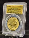 2013-W 1 oz Gold Buffalo Coin PR 70
