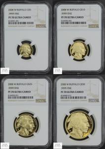 2008 W American Gold Buffalo Fractional Proof Set