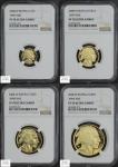 2008 W American Gold Buffalo Fractional Proof Set