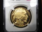 2007-W Ultra Cameo Gold Buffalo Coin PF70UC