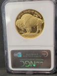 2006 Gold American Buffalo $50 Coin - PF70