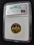 2008-W Proof Gold Buffalo Indian 1/4 oz Coin