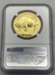 2013 W Gold Buffalo Coin PF 70 .9999 1 Oz
