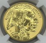 2013 W Gold Buffalo Coin 1 Oz PF 70