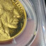2015 1 oz Proof American Gold Buffalo Coin