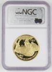 2006 $50 American Buffalo 1 Oz Gold Proof Coin