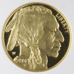2006 $50 American Buffalo 1 Oz Gold Proof Coin