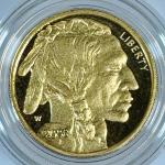 2008 $10 American Gold 1/4 Buffalo Coin