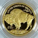 2008 $10 American Gold 1/4 Buffalo Coin