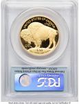 2009-W Proof Gold Buffalo 1 oz Coin PCGS PR70