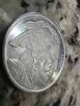 Buffalo Gold Coin - 1 Troy OZ Silver