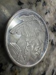 Buffalo Gold Coin - 1 Troy OZ Silver