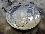 Buffalo Gold Coin - 1 Troy OZ Silver