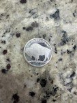 Buffalo Gold Coin - 1 Troy OZ Silver
