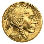 2023 American Buffalo Gold Coin 1 oz $50