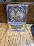 Buffalo Silver Coin with Real Spider Imprint