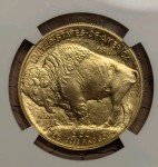2022 MS-70 $50 NGC Gold Buffalo Coin