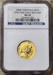 2008 W 1/4 Oz Burnished Gold Buffalo Coin
